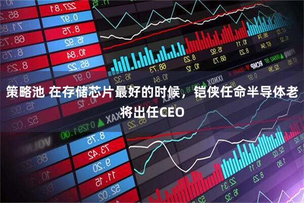 策略池 在存储芯片最好的时候，铠侠任命半导体老将出任CEO