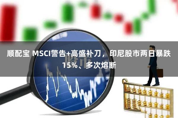 顺配宝 MSCI警告+高盛补刀，印尼股市两日暴跌15%、多次熔断