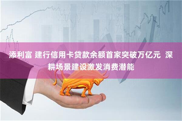 添利富 建行信用卡贷款余额首家突破万亿元  深耕场景建设激发消费潜能