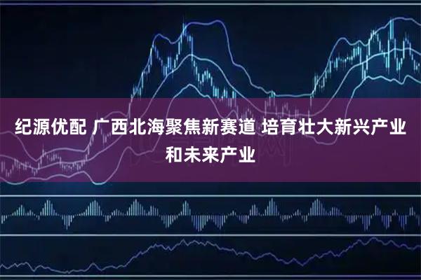 纪源优配 广西北海聚焦新赛道 培育壮大新兴产业和未来产业