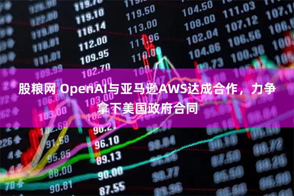 股粮网 OpenAI与亚马逊AWS达成合作，力争拿下美国政府合同