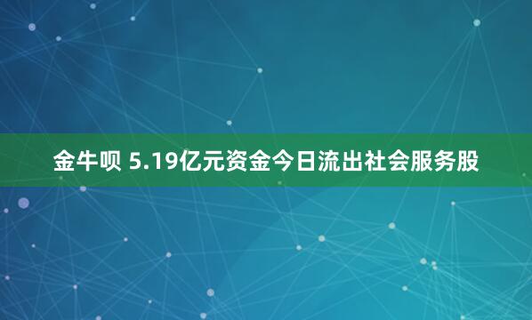 金牛呗 5.19亿元资金今日流出社会服务股