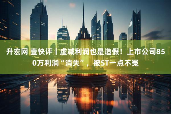 升宏网 壹快评丨虚减利润也是造假！上市公司850万利润“消失”，被ST一点不冤
