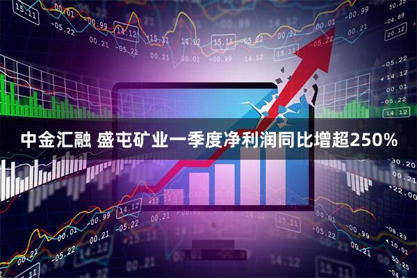 中金汇融 盛屯矿业一季度净利润同比增超250%