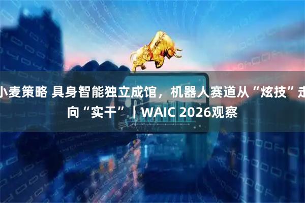 小麦策略 具身智能独立成馆，机器人赛道从“炫技”走向“实干”｜WAIC 2026观察