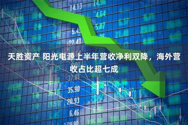 天胜资产 阳光电源上半年营收净利双降，海外营收占比超七成